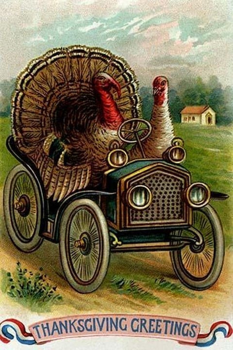 Thanksgiving Greetings: A Quick Getaway - Art Print