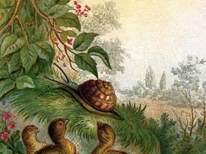 Three Chicks ponder a Snail by Anton Hochstein - Art Print