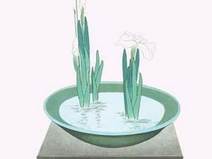 Futoi & Hanashobu (Scirpus & Iris) in a Tenryuji-celadon basin by Josiah Conder - Art Print