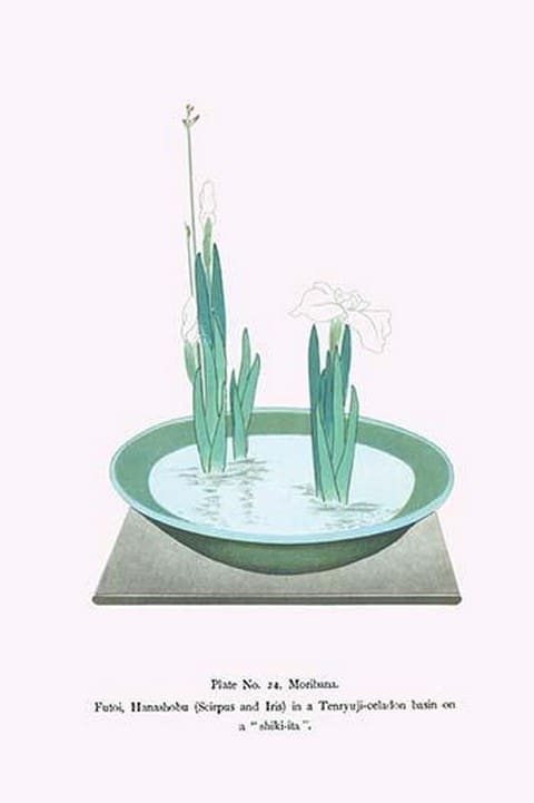 Futoi & Hanashobu (Scirpus & Iris) in a Tenryuji-celadon basin by Josiah Conder - Art Print