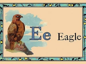 Eagle - Art Print