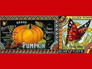 Butterfly Brand Golden Pumpkin - Art Print