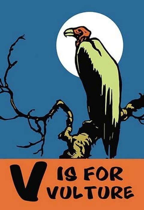 V is for Vulture by Charles Buckles Falls - Art Print