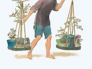 A Porter with Fruit Trees and Flowers by George Henry Malon - Art Print