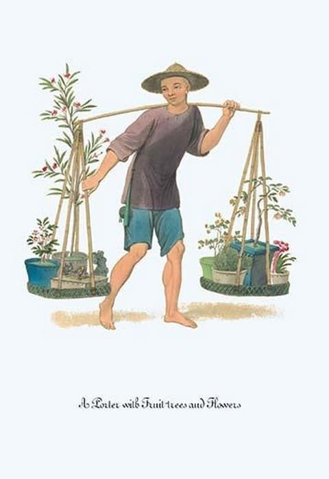 A Porter with Fruit Trees and Flowers by George Henry Malon - Art Print
