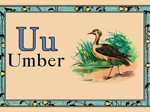 Umber - Art Print