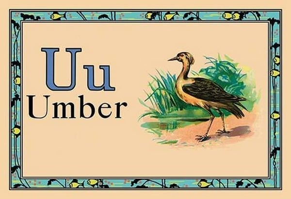 Umber - Art Print