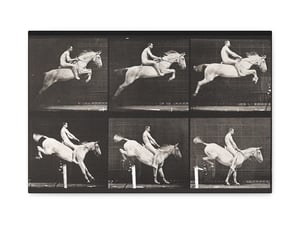 Horse Jumping a Hurdle by Edweard Muybridge.