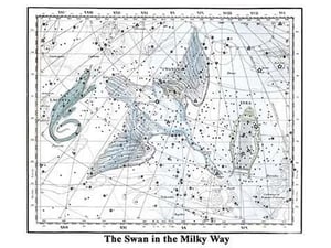 The Swan in the Milkyway by Alexander Jamieson - Art Print