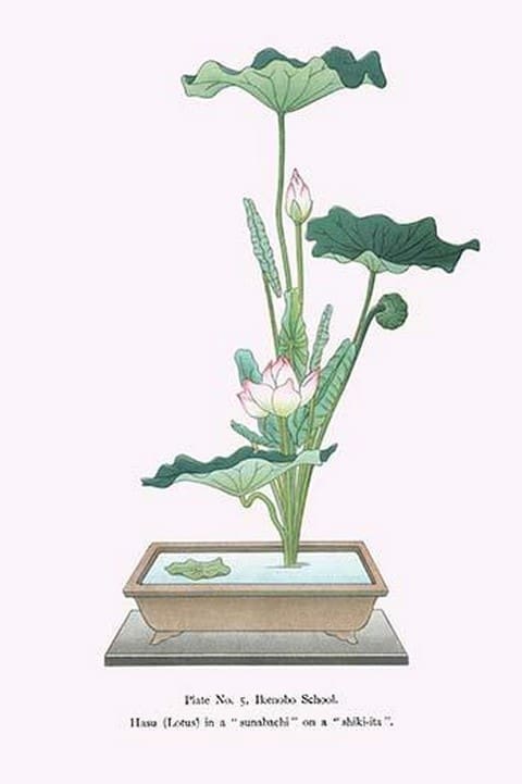 Hasu (Lotus) in Sunabachi by Josiah Conder - Art Print
