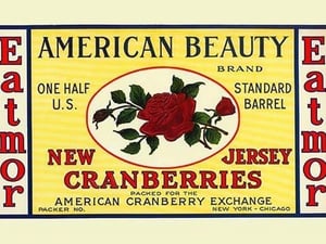 American Beauty New Jersey Cranberries - Art Print