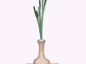 Suisen 'Bird's eye narcissus' in long vase by Josiah Conder - Art Print