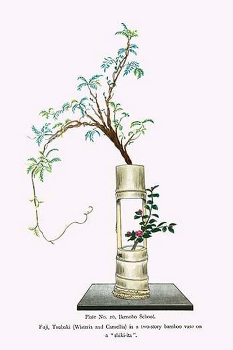 Fuji & Tsubaki (Wisteria and Camellia) in a two story Bamboo Vase by Josiah Conder - Art Print