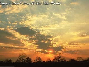 Heaven - Don't Miss it For the World by Sara Pierce - Art Print