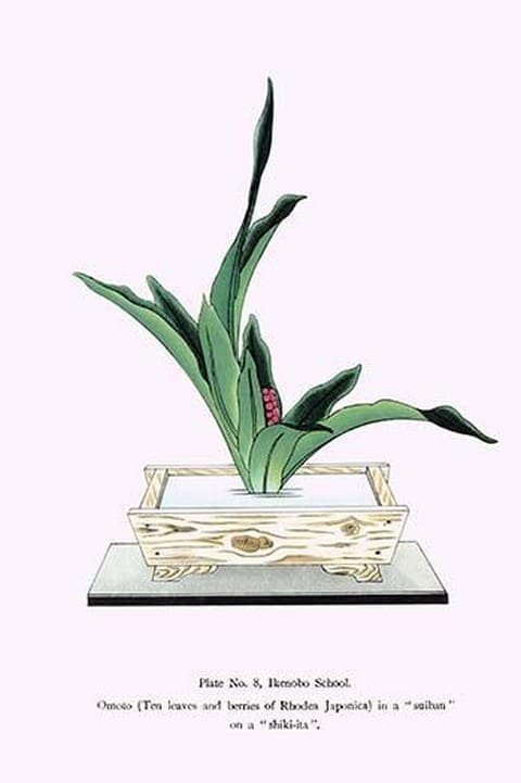Omoto (Ten Leaves & Berries of Rhodea Japonica) in a Suiban by Josiah Conder - Art Print