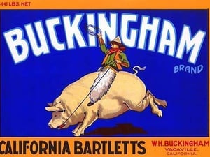 Buckingham California Bartletts - Art Print