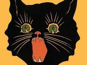 Black Cat - Art Print