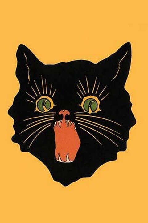 Black Cat - Art Print