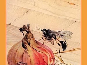 Mason-Wasp by Edward Detmold - Art Print