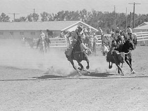 Bulldogging by Arthur Rothstein #3 - Art Print