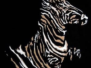 Zebra by Norma Kramer - Art Print