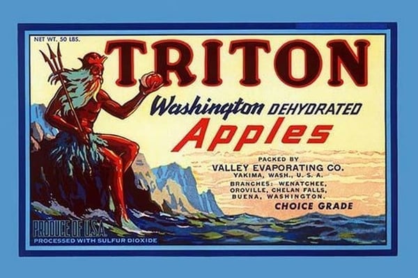Triton Washington Dehyrated Apples - Art Print
