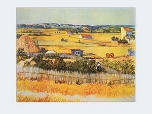 Vegetable Gardens by Vincent van Gogh - Art Print