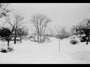 First Snow of the Season in Central Park by Press Illustrating - Art Print