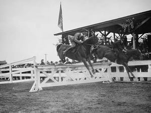 Horse Show in Washington DC; Horses Jump Fence - Art Print