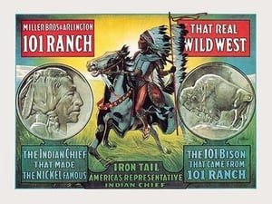 Iron Tail Nickel - Art Print