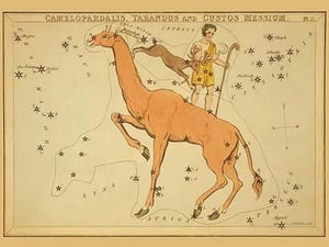 Camelopardalis