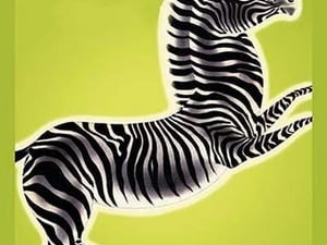 Zebra by Frank McIntosh - Art Print