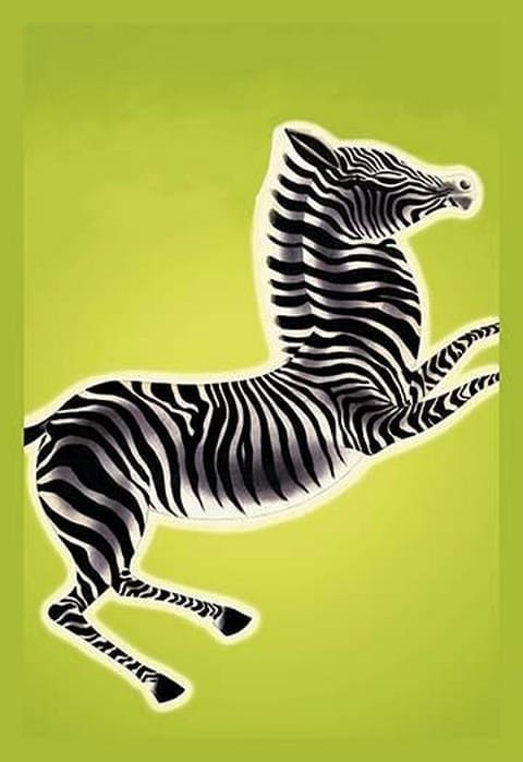 Zebra by Frank McIntosh - Art Print