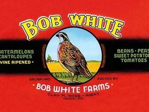Bob White Farms Label - Art Print