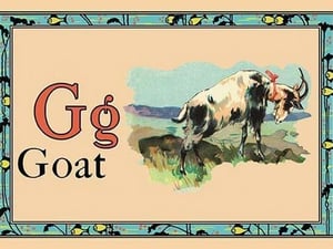 Goat - Art Print