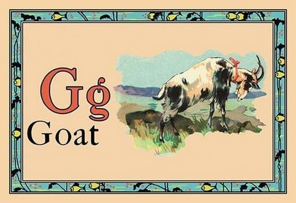 Goat - Art Print