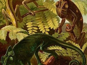 Chameleons by Friedrich Wilhelm Kuhnert - Art Print