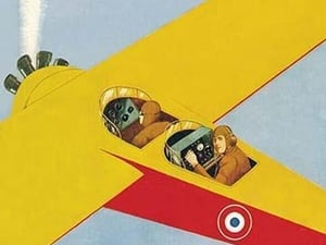 Observation Plane Spots Cruise Ship - Art Print
