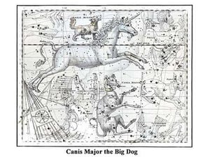 Canis Major the Big Dog by Alexander Jamieson - Art Print