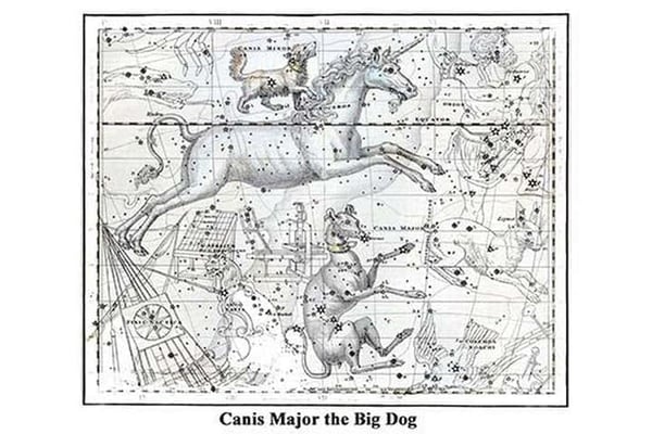 Canis Major the Big Dog by Alexander Jamieson - Art Print