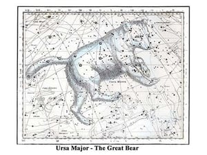 Ursa Major - The Great Bear by Alexander Jamieson - Art Print