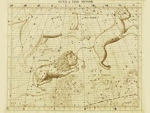 Lynx & Leo Minor by Sir John Flamsteed - Art Print