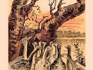 Fox and Geese - Art Print