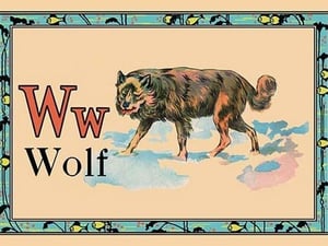 Wolf - Art Print