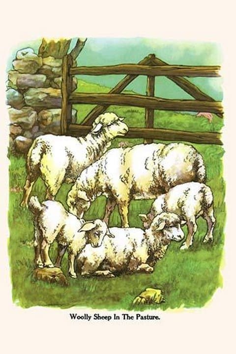Woolly Sheep in the Pasture by Bird & Haumann - Art Print