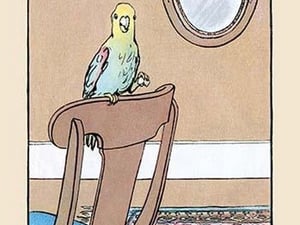 Polly Parrot on the Chair by Julia Dyar Hardy - Art Print