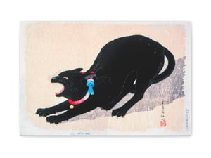 Black Cat Hissing by Hiroaki Takahashi - Canvas Print