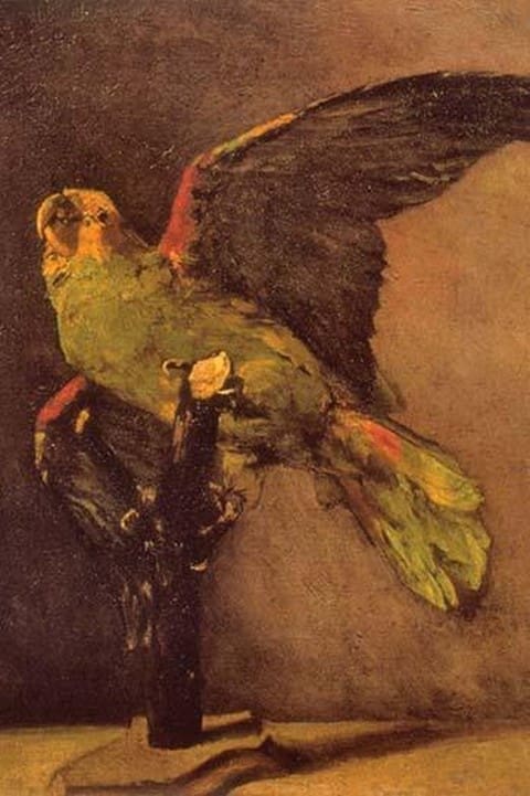 Parrot by Vincent van Gogh - Art Print