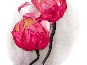 Magnolia Campbellii by H.G. Moon - Art Print