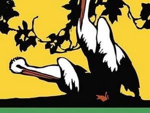 P is for Pelican by Charles Buckles Falls - Art Print